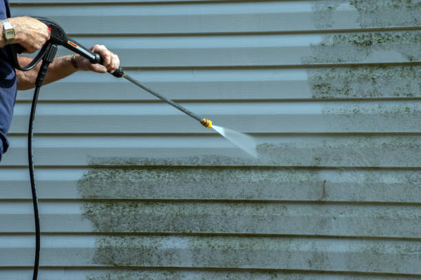 Best Gutter Cleaning  in Lake Mary Jane, FL